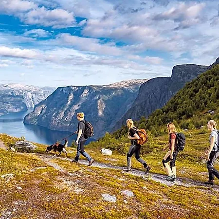 Aurlandsfjord فندق أرلاند